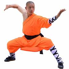 Kung Fu mokymas