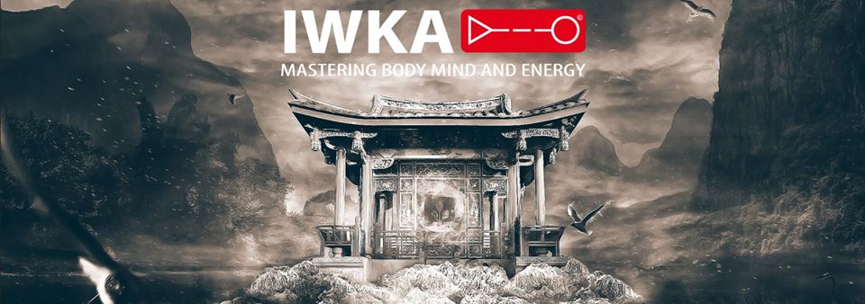 Wing Chun kovos menų asociacija