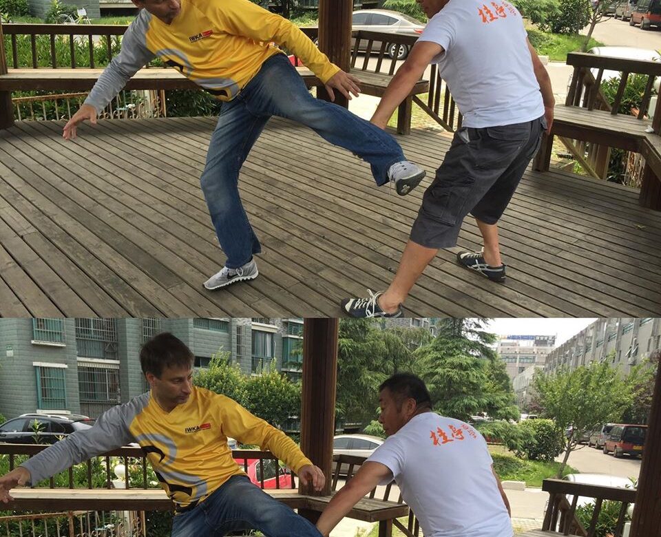 Mokymai Yang Tai Chi programos