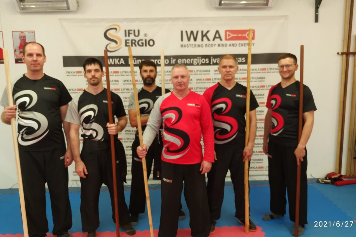 Wing Chun kovos technika su lazda