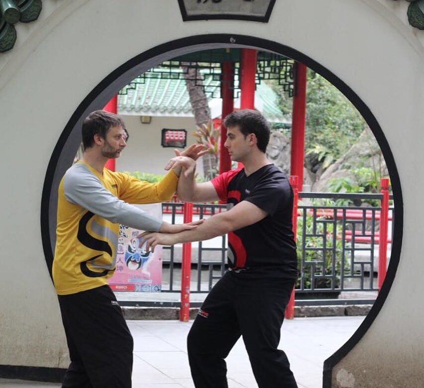 Vidinė Wing Chun sistema