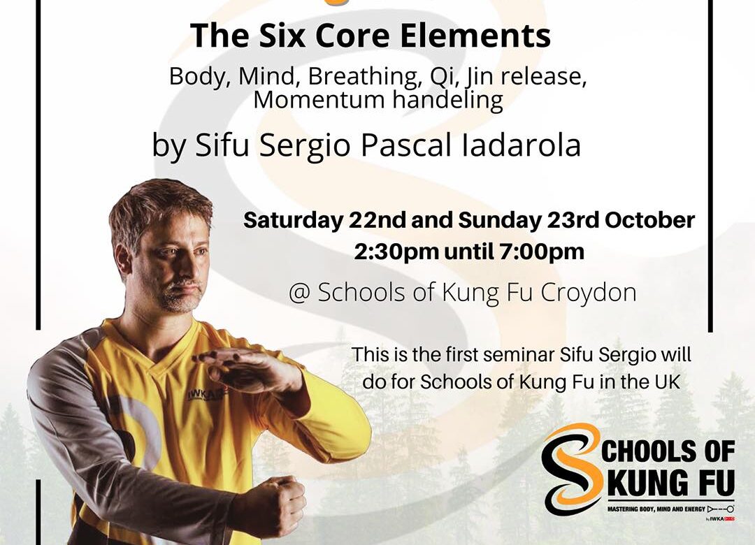 Wing Chun Seminar