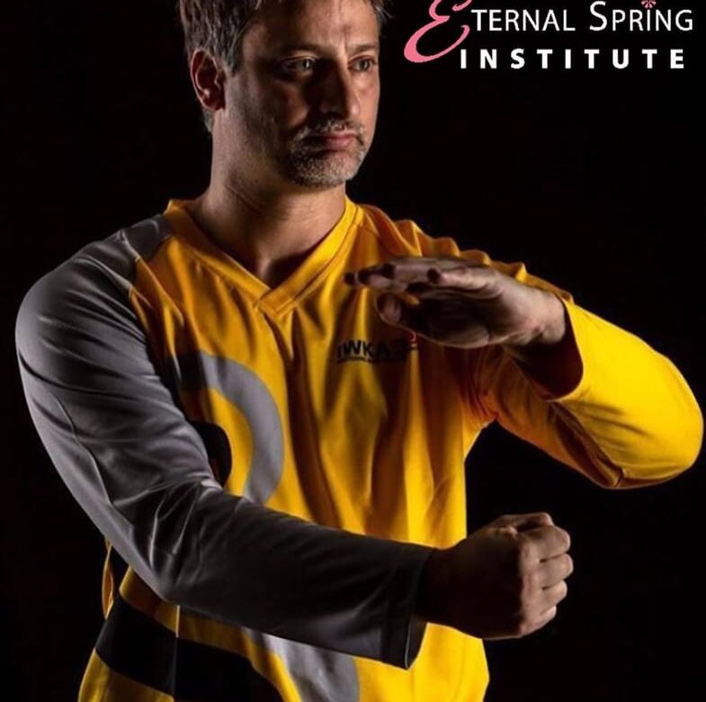 Wing Chun, Ving Tsun, Wing Tsun pavadinimai