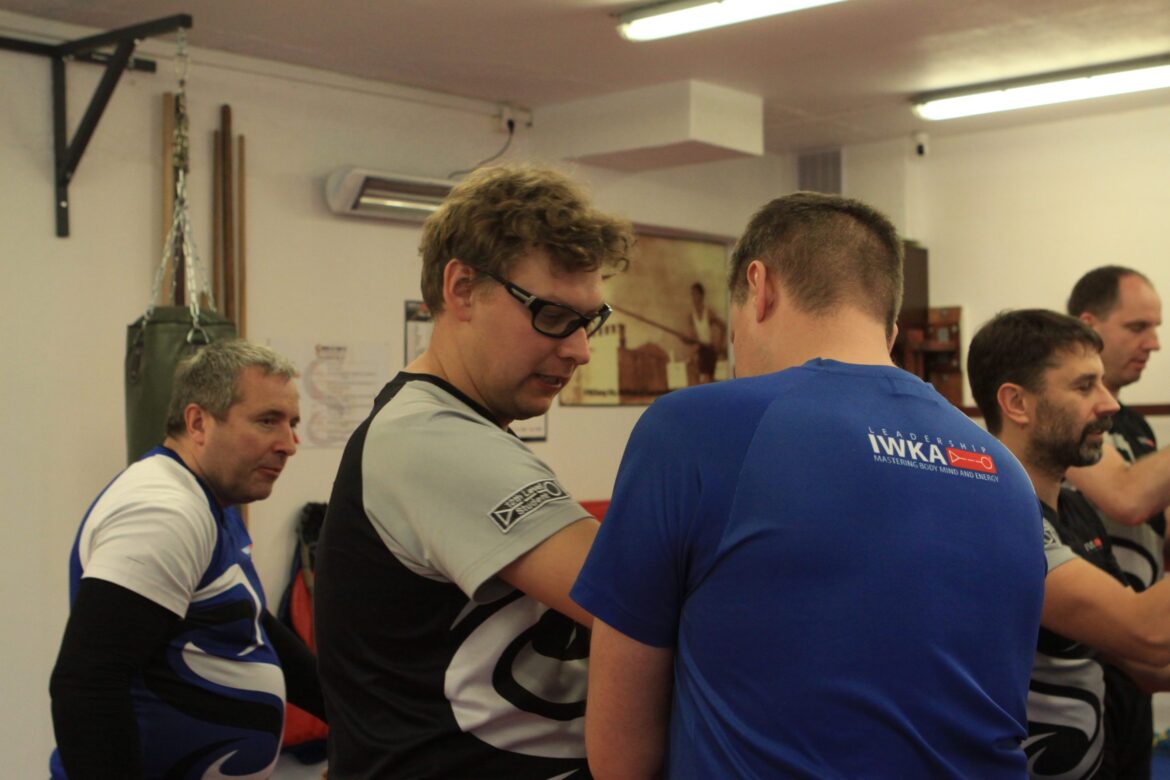 Kung Fu ir Wing Chun kursai (savigyna)