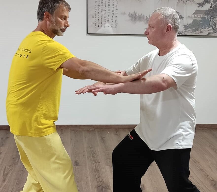 Tai Chi kursai Kaune