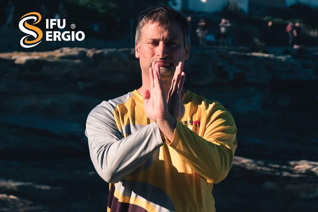 Vidiniai kovos menai