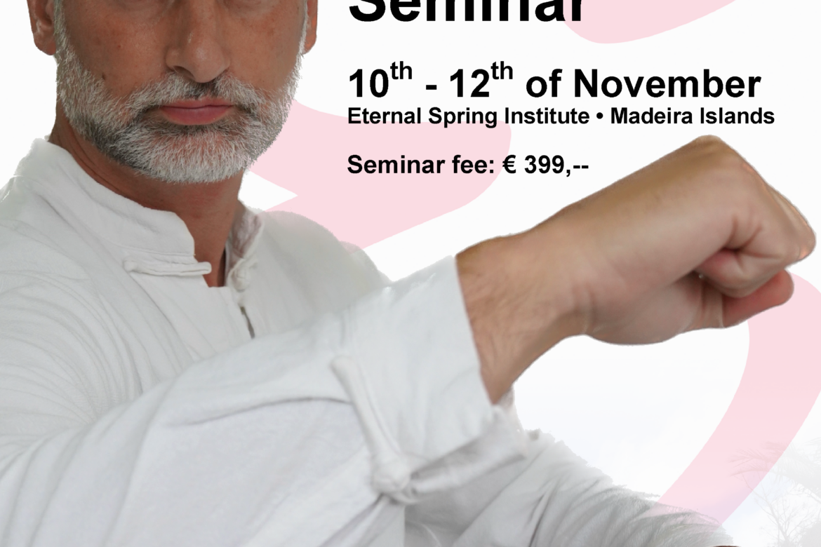 „1700-ųjų vidinis Wing Chun“ seminaras su Sifu Sergio P. Iadarola!