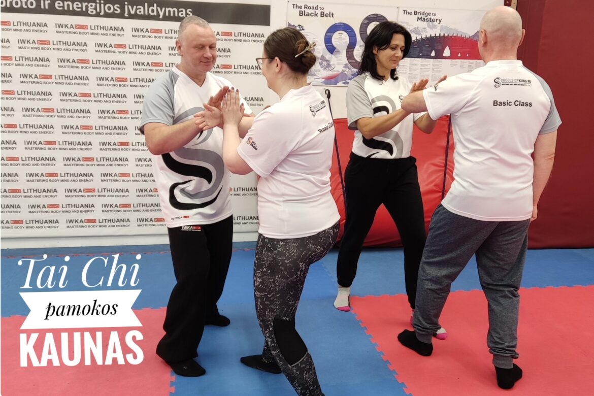 3 ramsčiai Yang Taijiquan